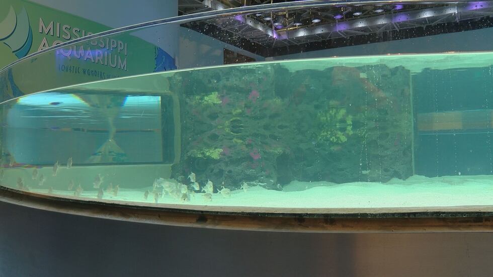 Two weeks from this Saturday the Mississippi Aquarium in Gulfport will open its doors to...