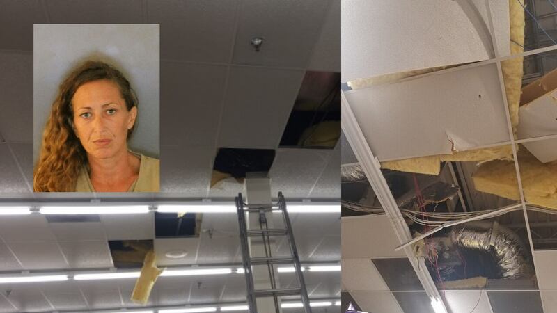 Kristina Perkins, 37, is charged with Felony Criminal Mischief, Petit Theft (3rd Offense,...