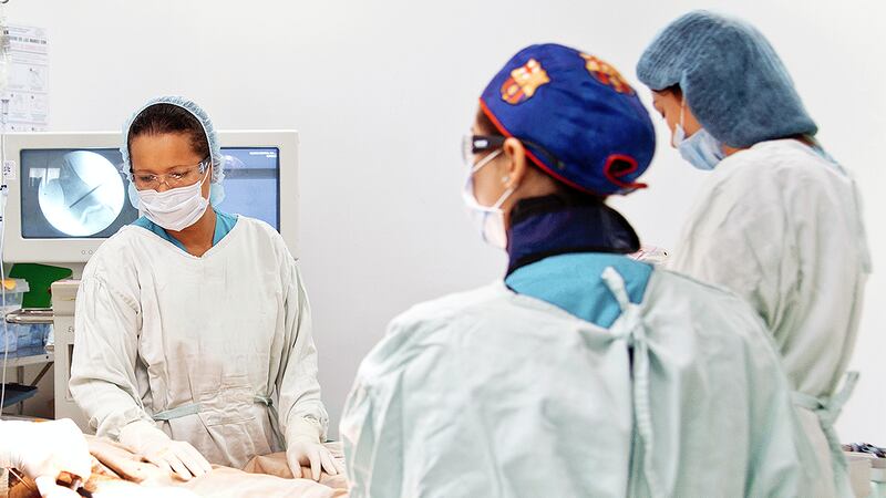 A Mississippi hospital looking to hire more nurses amid a nationwide nursing shortage is now...