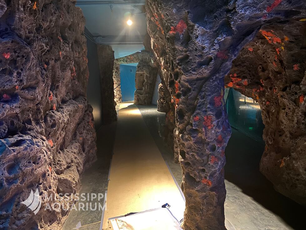 Grouper Grotto at the Mississippi Aquarium in Gulfport