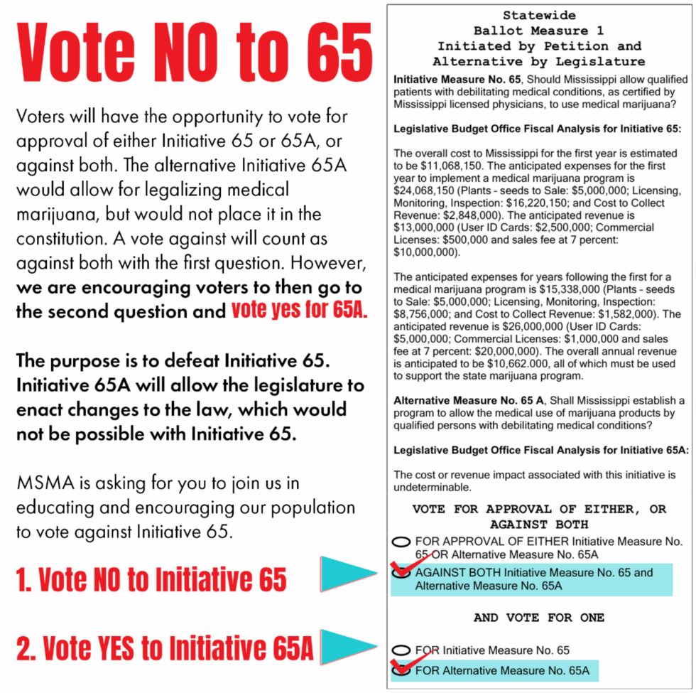MSMA and AMA demonstration ballot