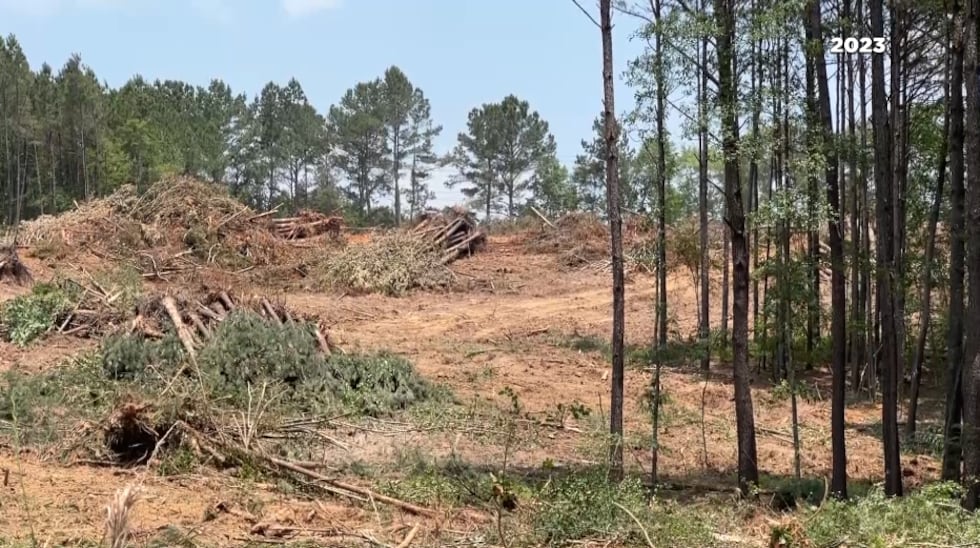 Land being cleared for new jail